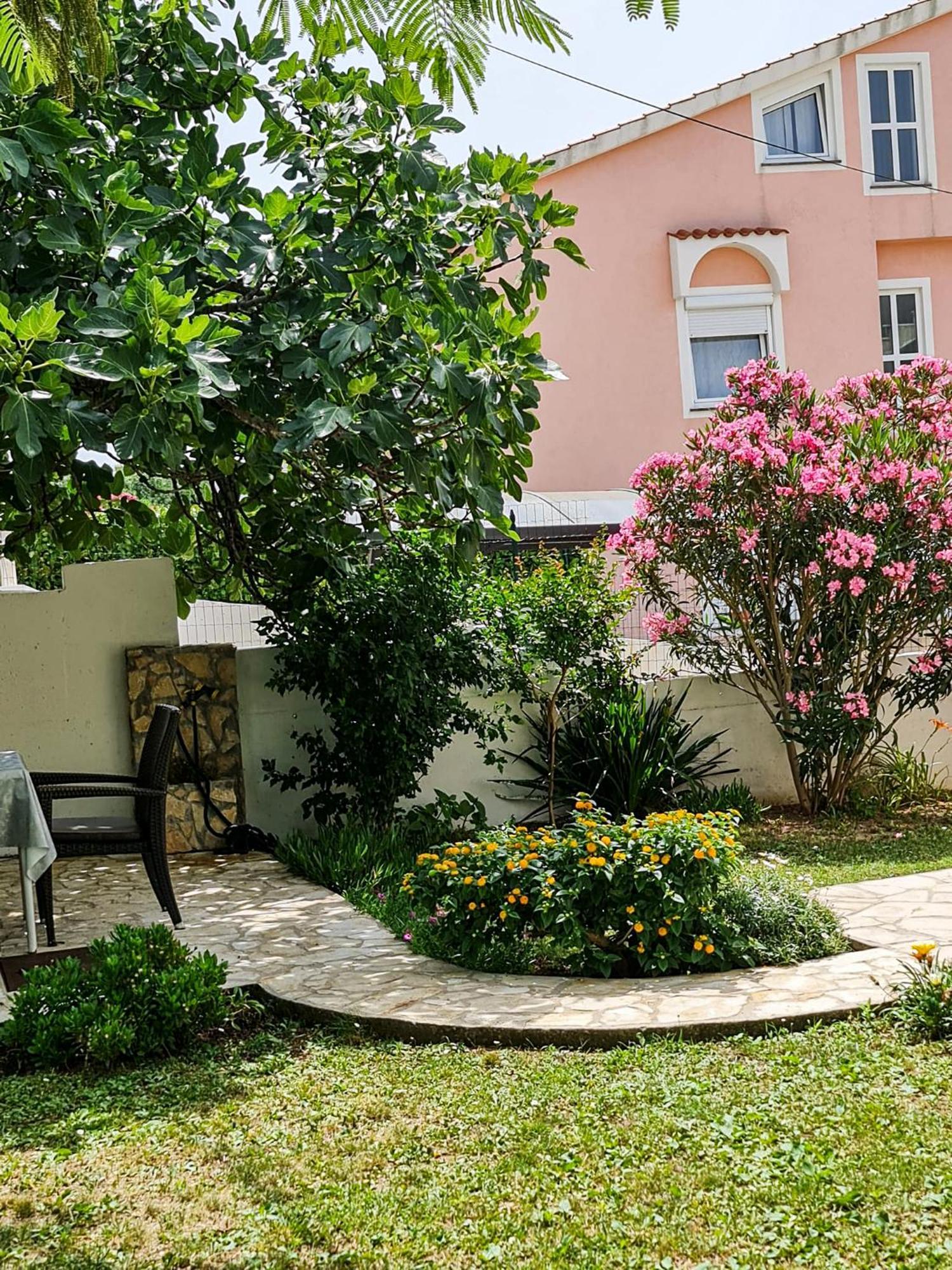 Apartments Benkovic บัชกา ภายนอก รูปภาพ