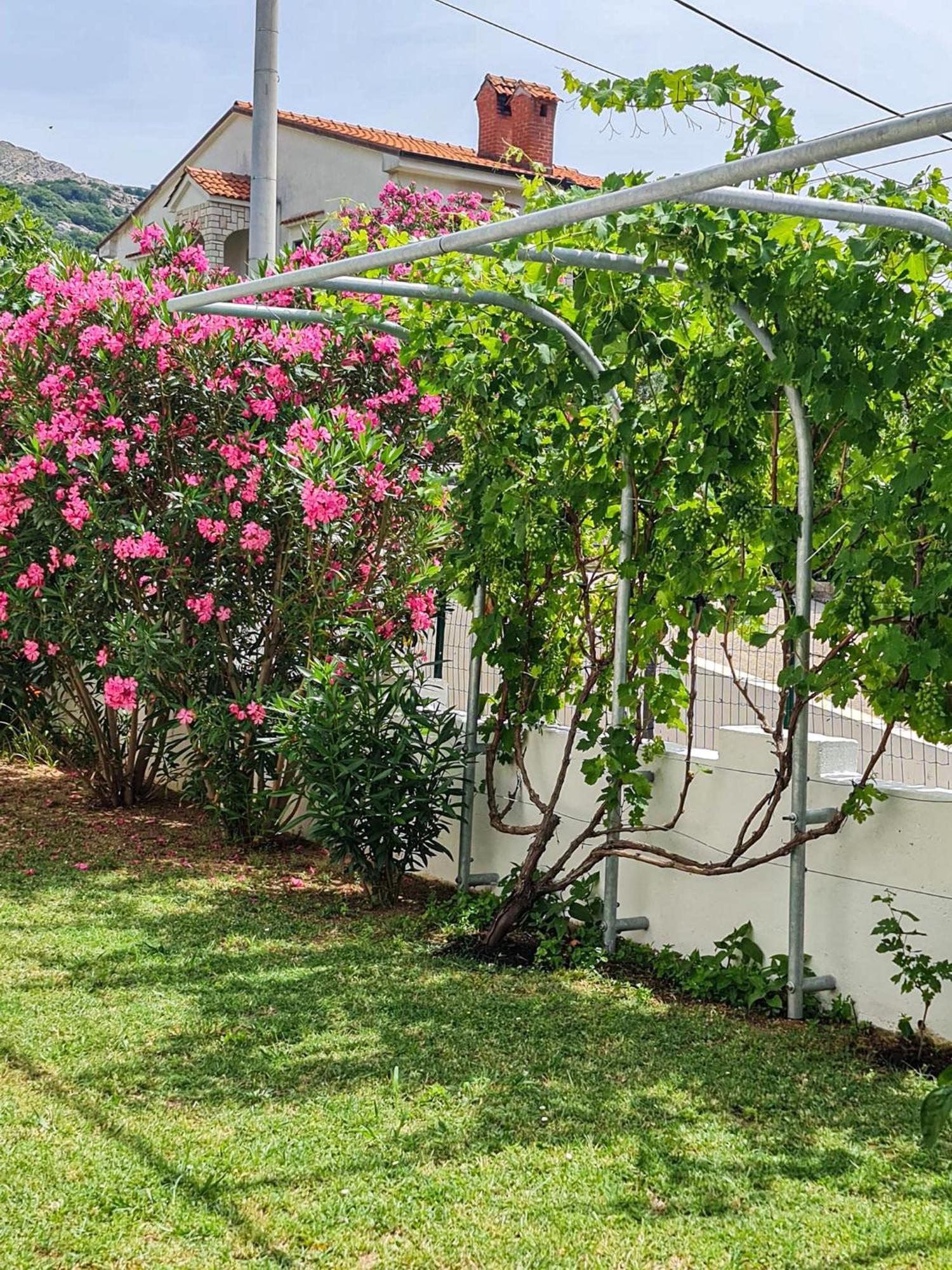 Apartments Benkovic บัชกา ภายนอก รูปภาพ